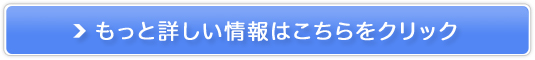 pubN̔TCg